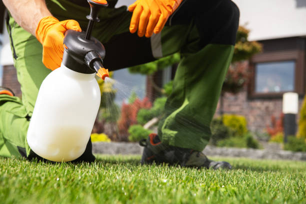 Best Flea Control Services  in Quincy, FL