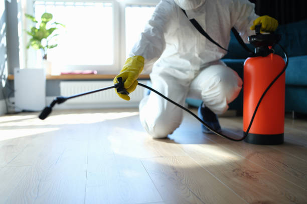 Pest Prevention Services in Quincy, FL