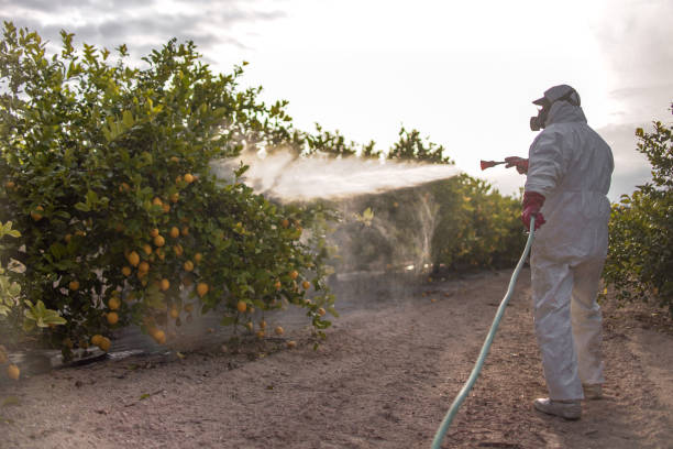 Best Pest Control Near Me  in Quincy, FL