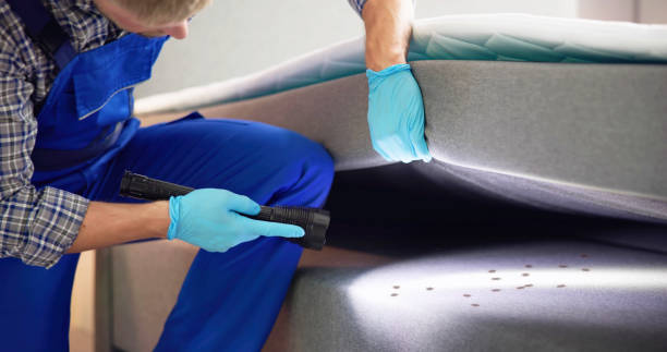 Best Commercial Pest Control Services  in Quincy, FL