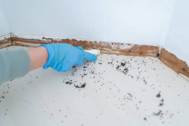 Best Exterminator Services  in Quincy, FL