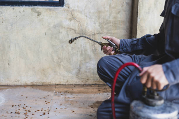 Best Best Pest Control Companies  in Quincy, FL